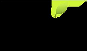 web design alberta