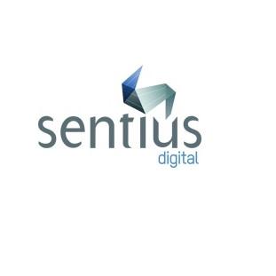 Image of Search Engine Optimisation Melbourne - Sentius Digital