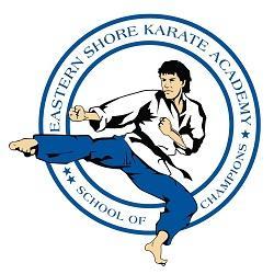 Image of Empire State Karate