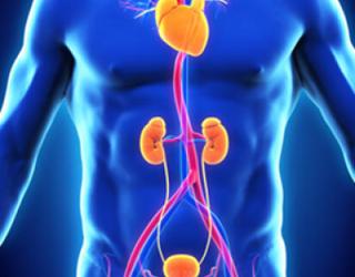 Image of North County Vascular & Interventional