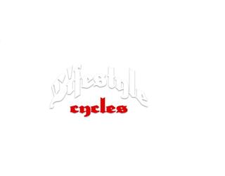 Image of Lifestyle Cycles