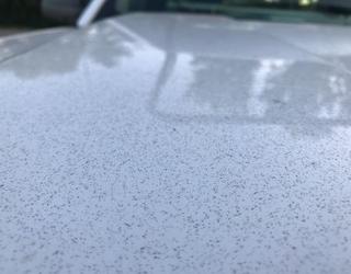 Image of National Overspray Removal