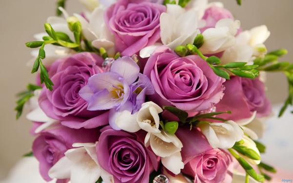 Image of Mr Florist Mayfair
