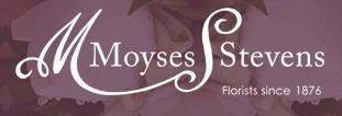 Image of Moyses Stevens Flowers