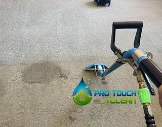 Image of Pro Touch Clean