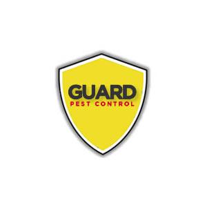 Expert Pest Control You Can Rely On