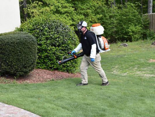 Powerful Pest Control Services For Your Home or Business