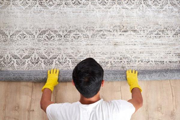 Image of Carpet Cleaner Blacktown