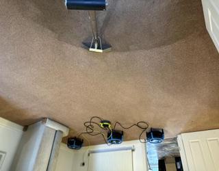 Image of Master Carpet Cleaning Cardiff Ltd