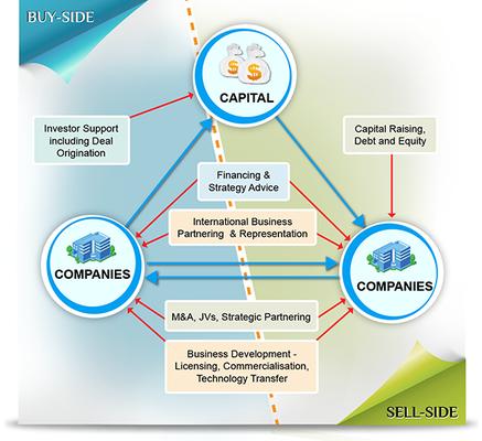 venture capital