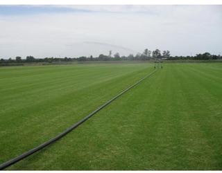 Image of Rivers Edge Turf Pty Ltd