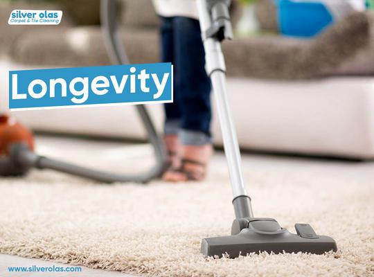 Carpet Cleaning Service Vista