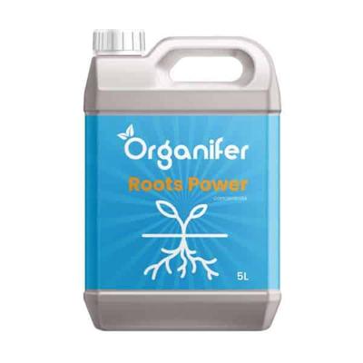 Organifer