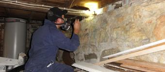 Image of Forensic Pest Management Services