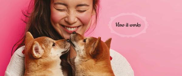 Premium Dog Food - Know How it works for your dog