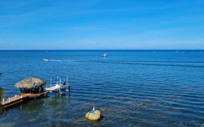 Imagen de Wendy Roatan Realty & Associates