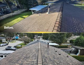 Image de PCC Pacific Coast Contracting