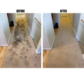 Image of Kelly's Carpet Cleaning and Restoration