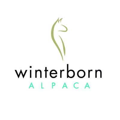 Image de Winterborn Alpaca Canada