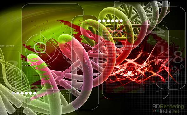 3d medical visualization