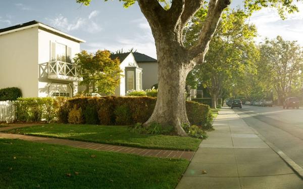 Image of Pacific Properties Realty Group