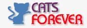 Image of Cats Forever