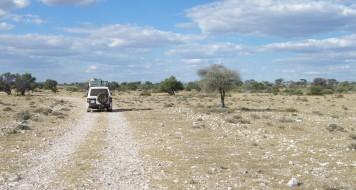 Afbeelding van Out in Africa B.V.