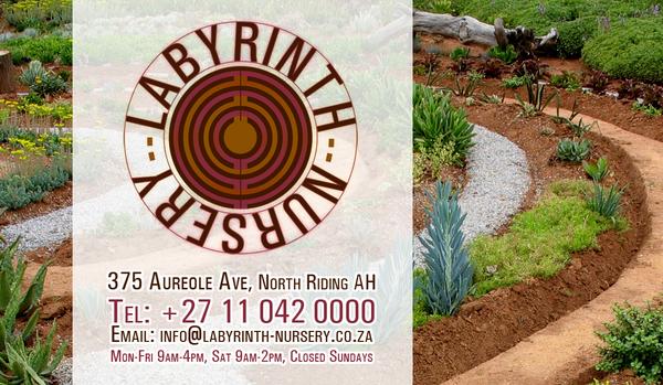 Labyrinth Nursery - Succulent Specialists!