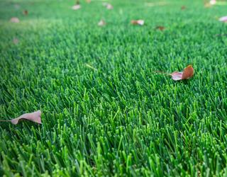 Image of Synthetic Grass Warehouse