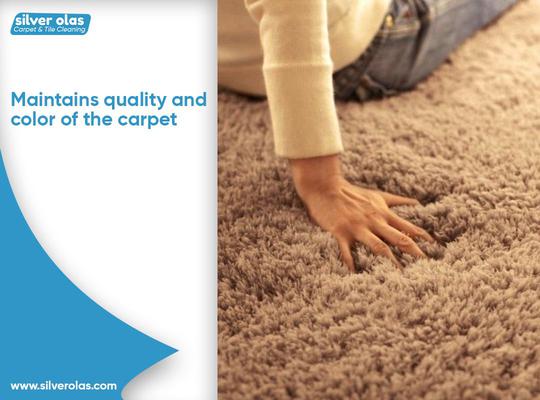 professional carpet cleaning services in Vista