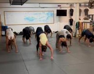 Image of Holistic Pro Health Performance Studio