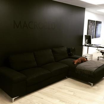 Image de Macroblu Website Design Agency
