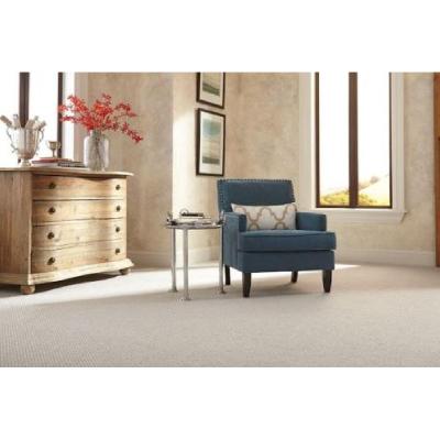 Image of Carpet Carousel