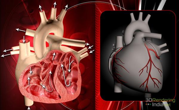 3D Medical Rendering
