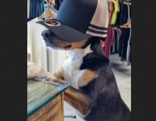 Image of Big Branding - Wholesale Workwear & Uniform