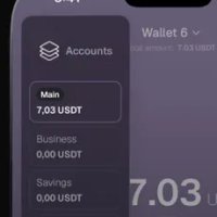 Mesh Wallet photo