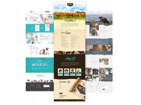 Image of Roya.com