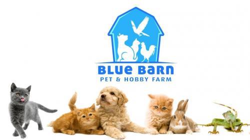 Image de Blue Barn Pet & Hobby Farm