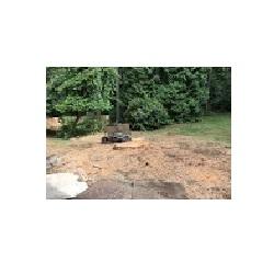 Image of Bear Creek Tree Service