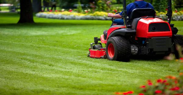 Lawn Mowing