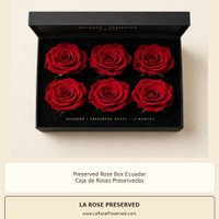 Imagem de Rosas Preservadas Ecuador La Rose Preserved