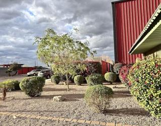 Image of Hernandez Mesquite Landscape Services