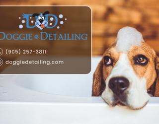 Image of Doggie Detailing