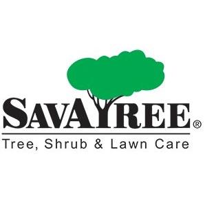 Image of SavATree - Tree Service & Lawn Care