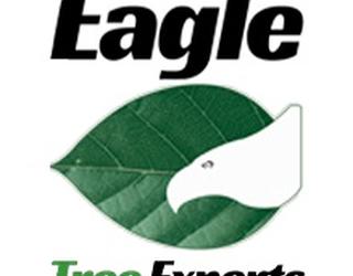 Image of Eagle Tree Experts