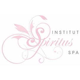 Image of Institut Spiritus