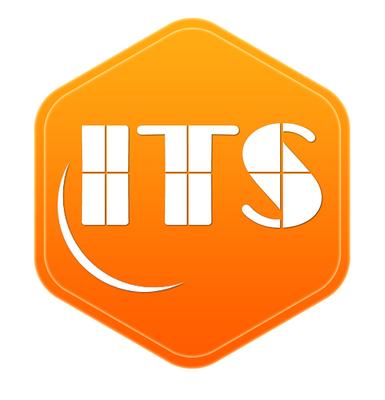 ITSolution