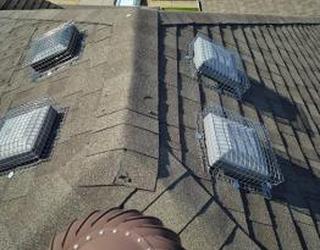 Image of Kia Pest Control & WildLife Removal