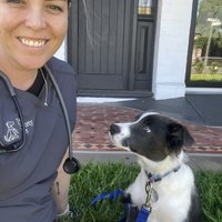 Image of Pet Society Vet