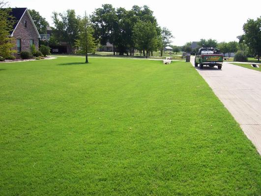 Image of Abracadabra Lawn Pest & Weed Control